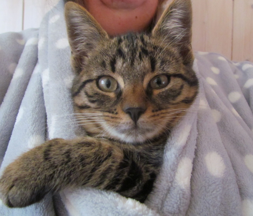 calin peignoir de bain